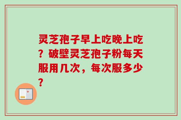 灵芝孢子早上吃晚上吃？破壁灵芝孢子粉每天服用几次，每次服多少？