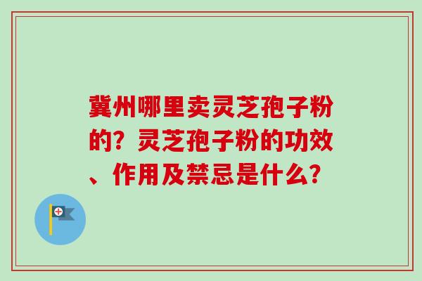 冀州哪里卖灵芝孢子粉的？灵芝孢子粉的功效、作用及禁忌是什么？