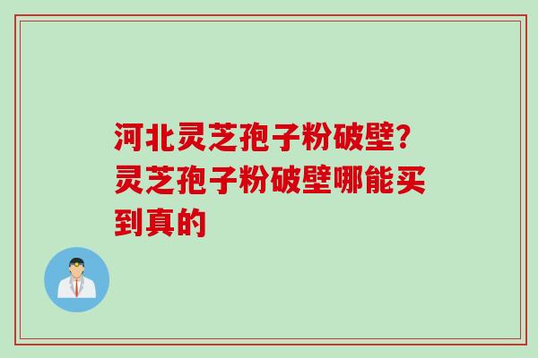 河北灵芝孢子粉破壁？灵芝孢子粉破壁哪能买到真的