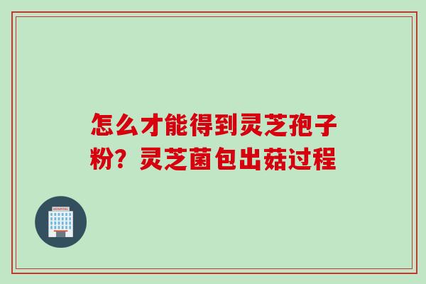 怎么才能得到灵芝孢子粉？灵芝菌包出菇过程