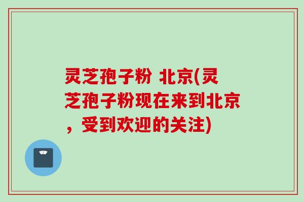 灵芝孢子粉 北京(灵芝孢子粉现在来到北京，受到欢迎的关注)