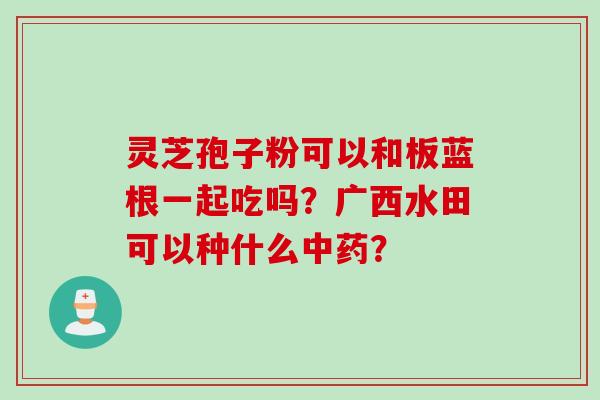 灵芝孢子粉可以和板蓝根一起吃吗？广西水田可以种什么中药？