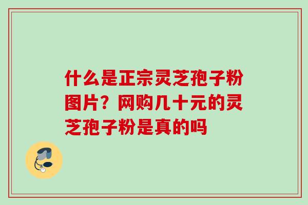 什么是正宗灵芝孢子粉图片？网购几十元的灵芝孢子粉是真的吗