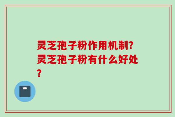 灵芝孢子粉作用机制？灵芝孢子粉有什么好处？