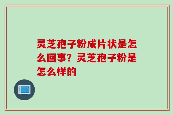 灵芝孢子粉成片状是怎么回事？灵芝孢子粉是怎么样的