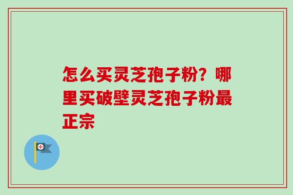 怎么买灵芝孢子粉?哪里买破壁灵芝孢子粉正宗 怎么买灵芝孢子粉?哪里买破壁灵芝孢子粉正宗