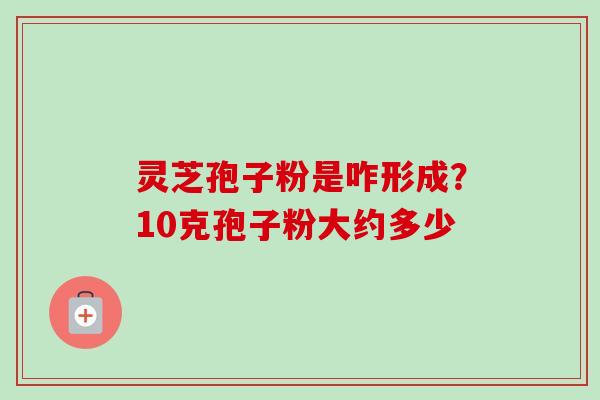 灵芝孢子粉是咋形成？10克孢子粉大约多少