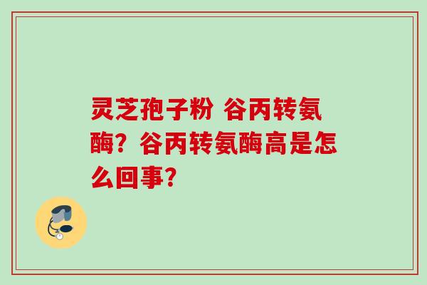 灵芝孢子粉 谷丙转氨酶？谷丙转氨酶高是怎么回事？