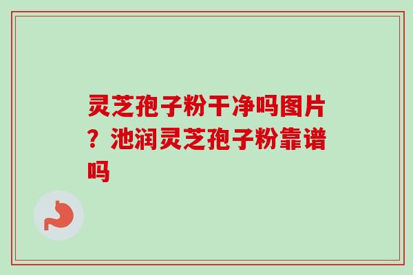 灵芝孢子粉干净吗图片？池润灵芝孢子粉靠谱吗