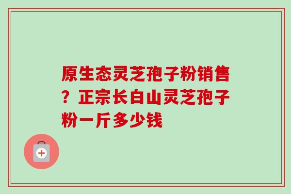 原生态灵芝孢子粉销售？正宗长白山灵芝孢子粉一斤多少钱