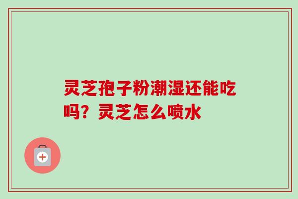 灵芝孢子粉潮湿还能吃吗？灵芝怎么喷水