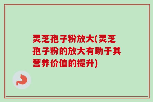 灵芝孢子粉放大(灵芝孢子粉的放大有助于其营养价值的提升)