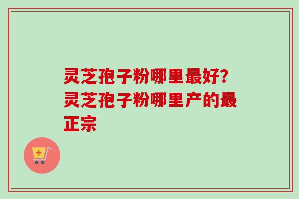 灵芝孢子粉哪里好?灵芝孢子粉哪里产的正宗 灵芝孢子粉哪里好?灵芝孢子粉哪里产的正宗