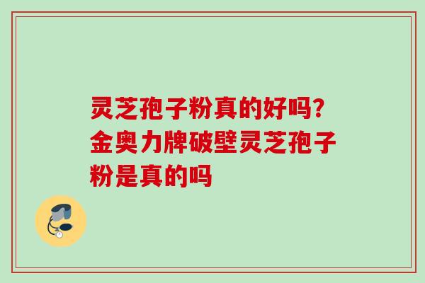 灵芝孢子粉真的好吗？金奥力牌破壁灵芝孢子粉是真的吗