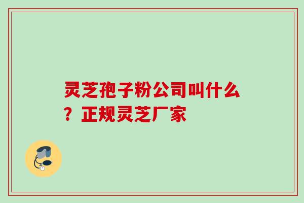 灵芝孢子粉公司叫什么？正规灵芝厂家