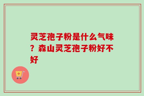 灵芝孢子粉是什么气味？森山灵芝孢子粉好不好