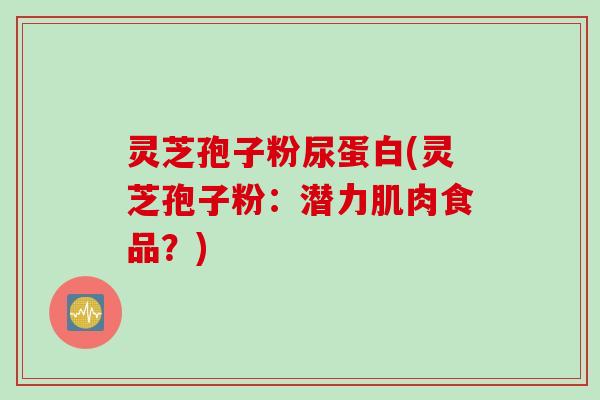 灵芝孢子粉尿蛋白(灵芝孢子粉：潜力肌肉食品？)