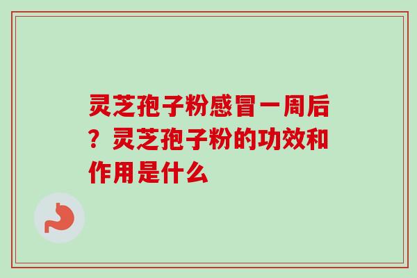 灵芝孢子粉感冒一周后？灵芝孢子粉的功效和作用是什么