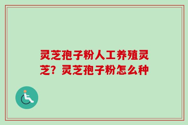 灵芝孢子粉人工养殖灵芝?灵芝孢子粉怎么种 灵芝孢子粉人工养殖灵芝?灵芝孢子粉怎么种