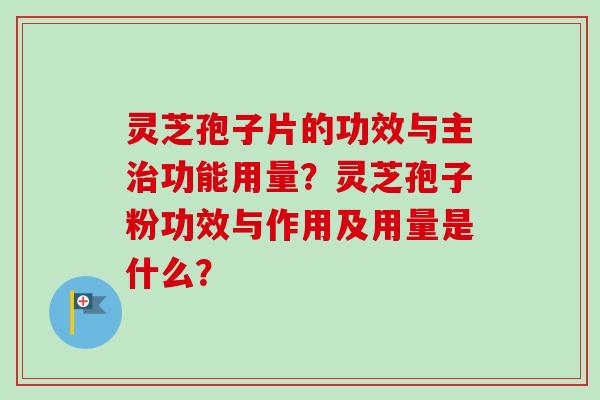 灵芝孢子片的功效与主功能用量？灵芝孢子粉功效与作用及用量是什么？
