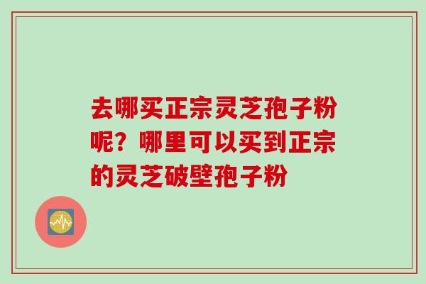 去哪买正宗灵芝孢子粉呢？哪里可以买到正宗的灵芝破壁孢子粉