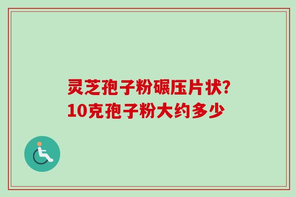 灵芝孢子粉碾压片状？10克孢子粉大约多少