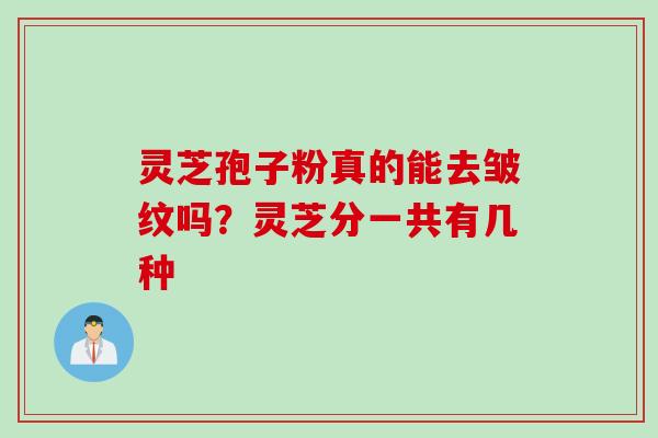 灵芝孢子粉真的能去皱纹吗？灵芝分一共有几种