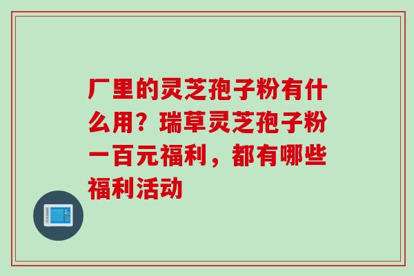 厂里的灵芝孢子粉有什么用？瑞草灵芝孢子粉一百元福利，都有哪些福利活动