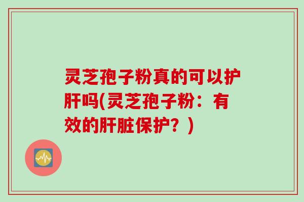 灵芝孢子粉真的可以护肝吗(灵芝孢子粉：有效的肝脏保护？)