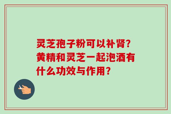 灵芝孢子粉可以补肾？黄精和灵芝一起泡酒有什么功效与作用？