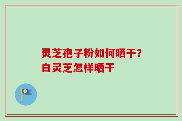 灵芝孢子粉如何晒干？白灵芝怎样晒干