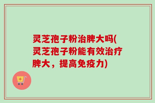 灵芝孢子粉治脾大吗(灵芝孢子粉能有效治疗脾大，提高免疫力)