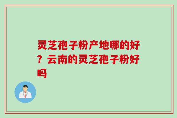 灵芝孢子粉产地哪的好？云南的灵芝孢子粉好吗