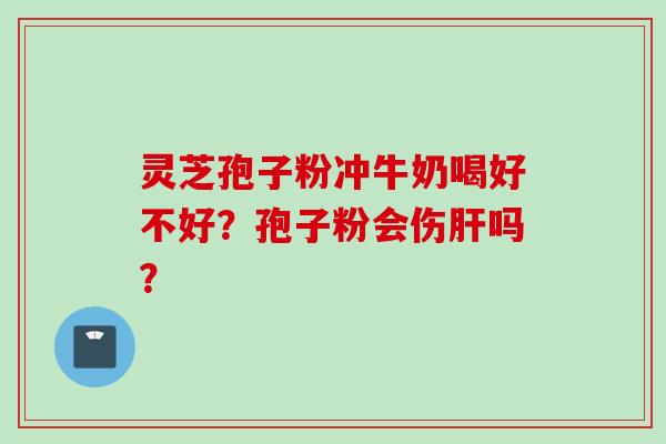 灵芝孢子粉冲牛奶喝好不好？孢子粉会伤肝吗？
