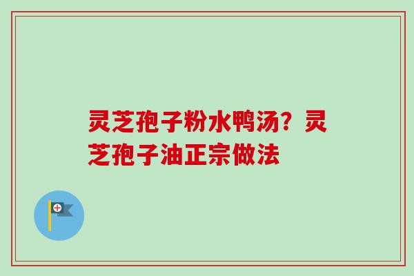 灵芝孢子粉水鸭汤？灵芝孢子油正宗做法