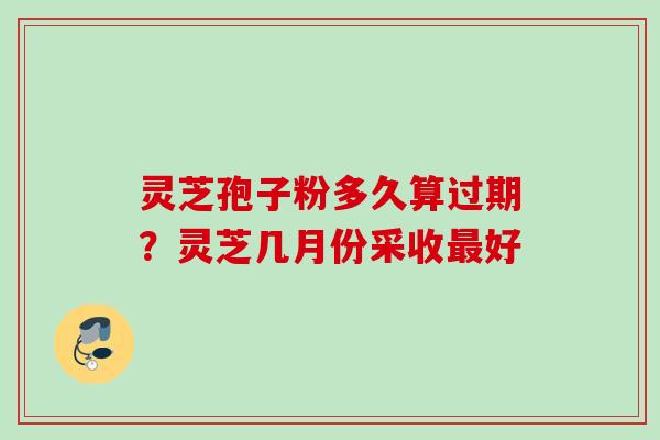 灵芝孢子粉多久算过期？灵芝几月份采收最好