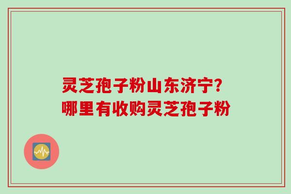 灵芝孢子粉山东济宁？哪里有收购灵芝孢子粉