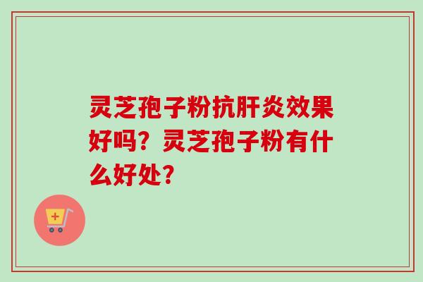 灵芝孢子粉抗效果好吗？灵芝孢子粉有什么好处？