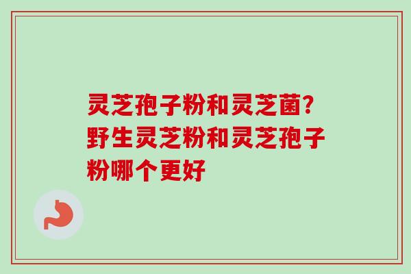 灵芝孢子粉和灵芝菌？野生灵芝粉和灵芝孢子粉哪个更好