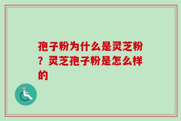 孢子粉为什么是灵芝粉？灵芝孢子粉是怎么样的
