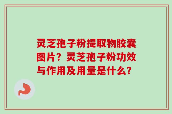 灵芝孢子粉提取物胶囊图片？灵芝孢子粉功效与作用及用量是什么？