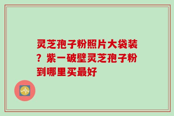 灵芝孢子粉照片大袋装？紫一破壁灵芝孢子粉到哪里买最好