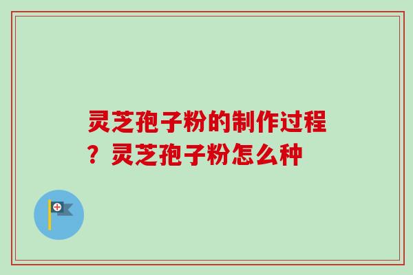 灵芝孢子粉的制作过程？灵芝孢子粉怎么种