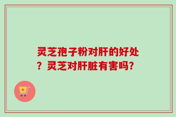 灵芝孢子粉对的好处?灵芝对有害吗? 灵芝孢子粉对的好处?灵芝对有害吗?