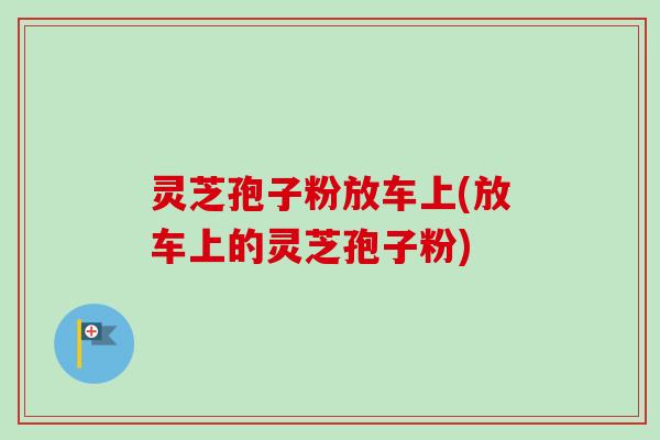 灵芝孢子粉放车上(放车上的灵芝孢子粉)