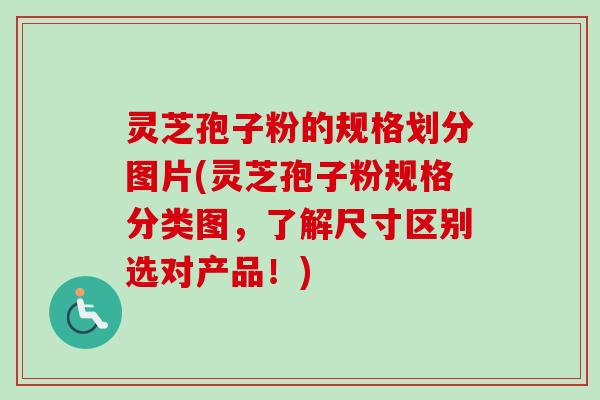 灵芝孢子粉的规格划分图片(灵芝孢子粉规格分类图，了解尺寸区别选对产品！)