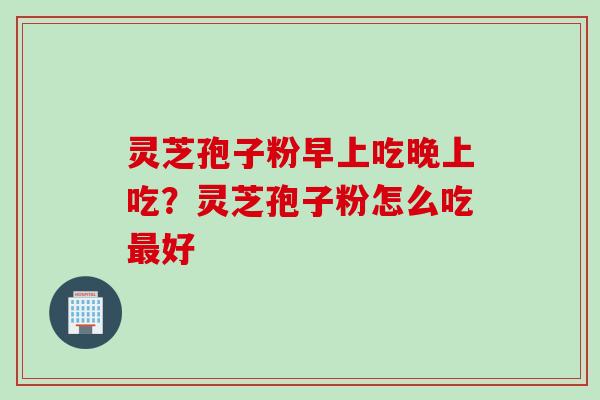 灵芝孢子粉早上吃晚上吃？灵芝孢子粉怎么吃好