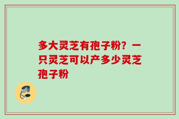 多大灵芝有孢子粉?一只灵芝可以产多少灵芝孢子粉 多大灵芝有孢子粉?一只灵芝可以产多少灵芝孢子粉
