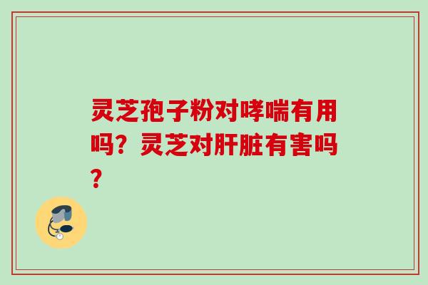 灵芝孢子粉对哮喘有用吗？灵芝对肝脏有害吗？