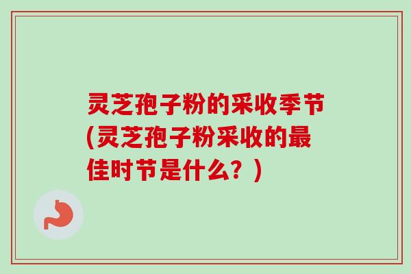 灵芝孢子粉的采收季节(灵芝孢子粉采收的最佳时节是什么？)